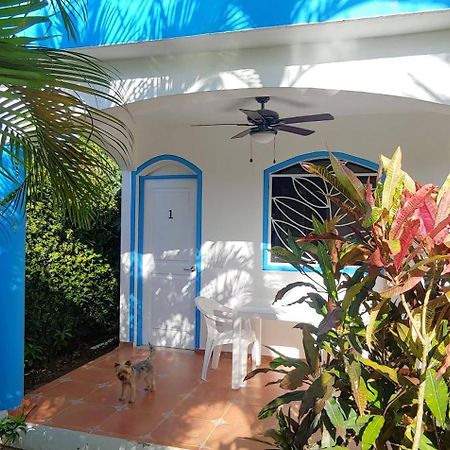Chambre Bungalow2 Las Terrenas Zewnętrze zdjęcie