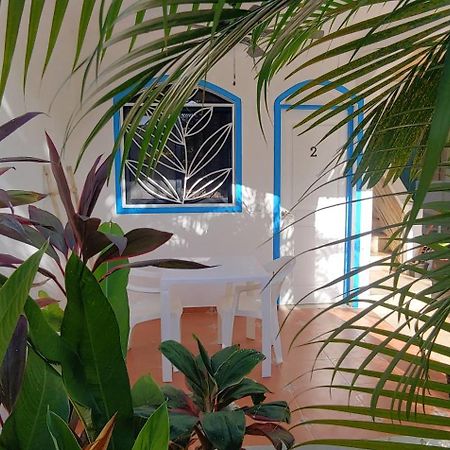 Chambre Bungalow2 Las Terrenas Zewnętrze zdjęcie