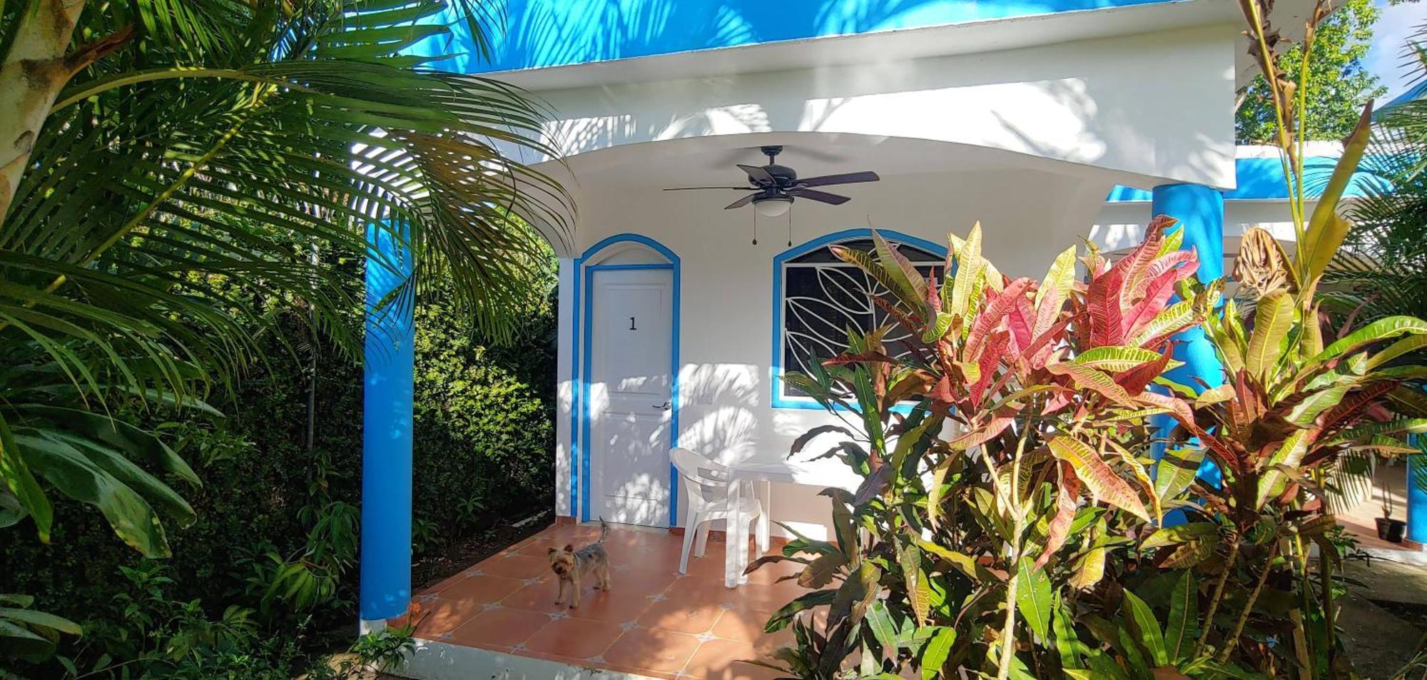 Chambre Bungalow2 Las Terrenas Zewnętrze zdjęcie